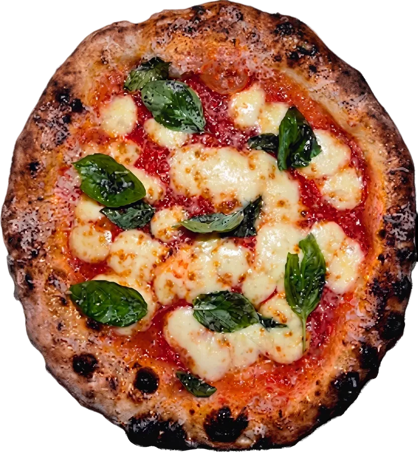 Pizza Margarita